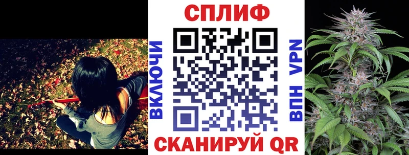 Бошки Шишки планчик  купить наркотики цена  Инта 